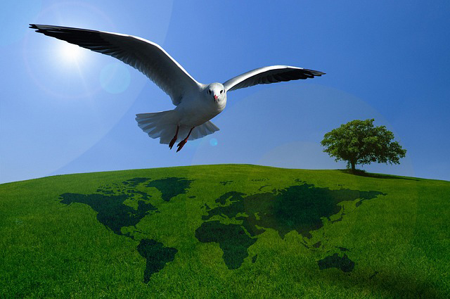 Frieden und Menschenrechte in den Globalisierungsprozessen