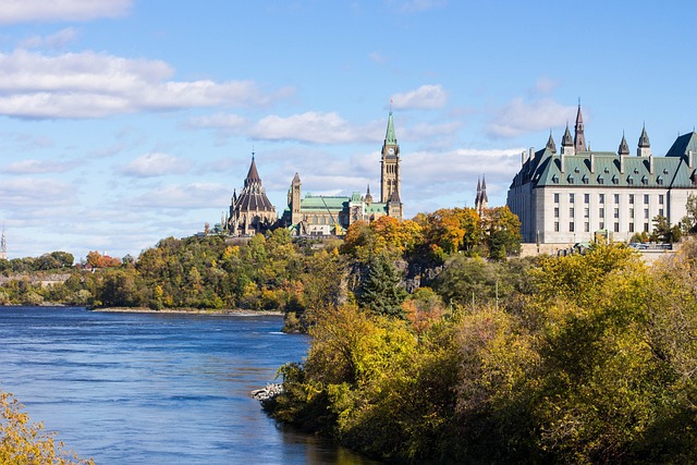 pet_orient-ottawa-4377995_640